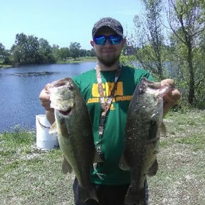 Meet your Posher, Dillon